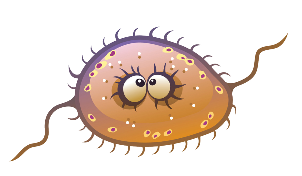 virus05.png